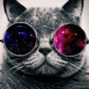 Meet your Posher, Benjamin